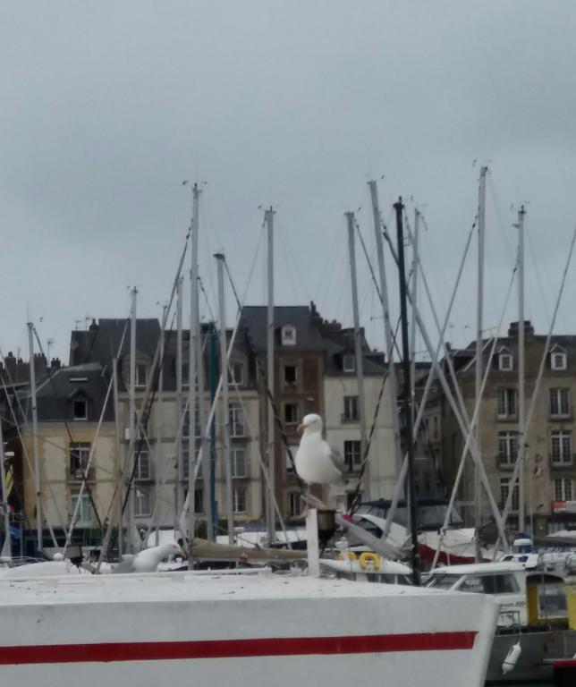 Egg Hotel - Hotel Les Gens De Mer Dieppe Exterior foto